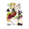 9780316334853 High School DXD: Asia & Koneko's Secret Contract!? (Manga)