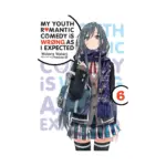 My Youth Romantic Comedy Is Wrong, as I Expected (Light Novel) Volume 06