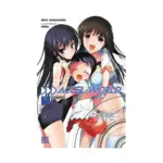 Accel World (Light Novel) Volume 10