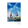 Your Name. (Light Novel)