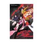 Durarara!! (Light Novel) Volume 11