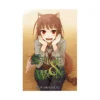 Spice and Wolf (Light Novel) Volume 05