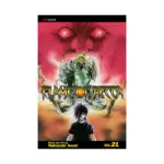 Flame of Recca (Manga) Volume 21