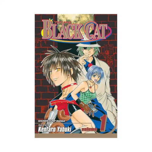 Black Cat (Manga) Volume 01