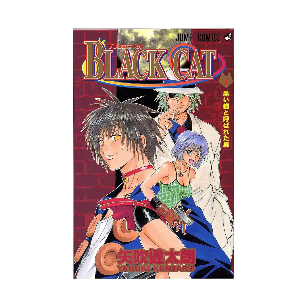 Black Cat (Manga) Volume 02