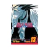 Bleach (Manga) Volume 13
