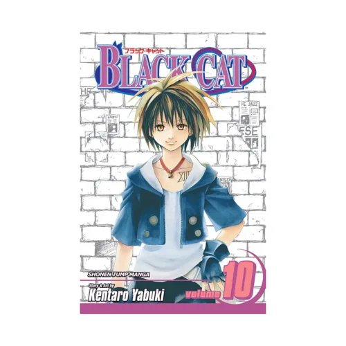 Black Cat (Manga) Volume 10