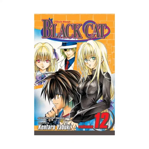 Black Cat (Manga) Volume 12