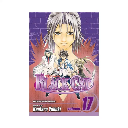 Black Cat (Manga) Volume 17