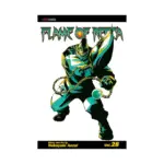 Flame of Recca (Manga) Volume 28