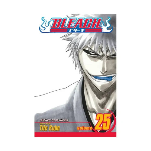 Bleach (Manga) Volume 25