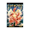 Flame of Recca (Manga) Volume 33