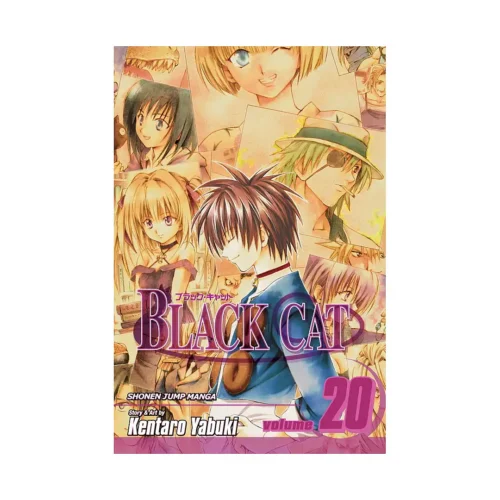 Black Cat (Manga) Volume 20