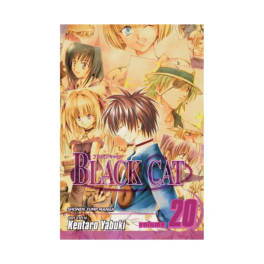 Black Cat (Manga) Volume 20