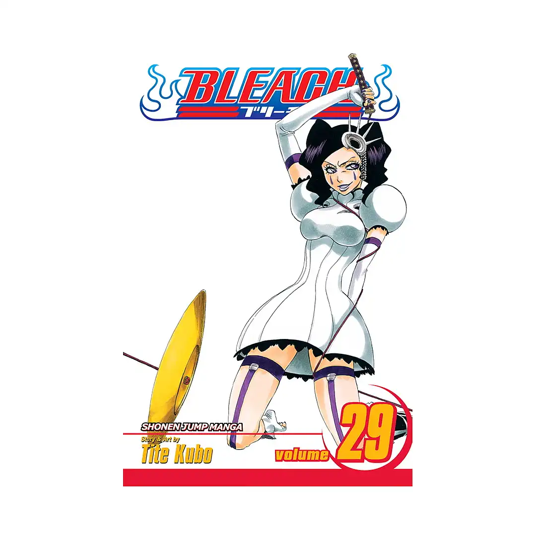 Bleach (Manga) Volume 29