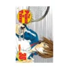 9781421524313 The Prince of Tennis (Manga) Volume 30