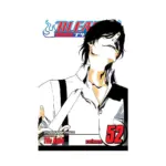 Bleach (Manga) Volume 52