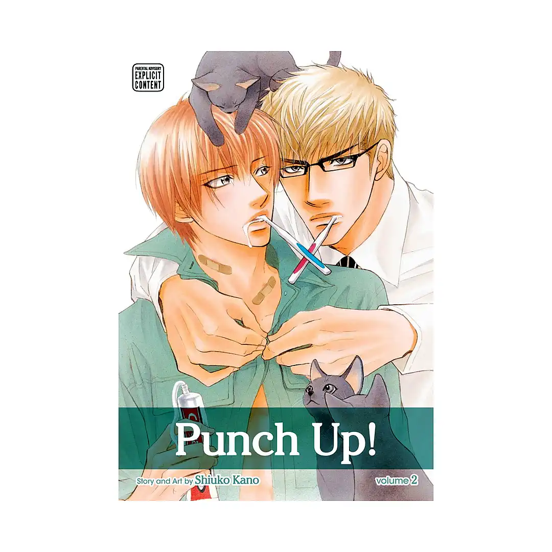 Punch Up! (Manga) Volume 02