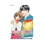 Hana-Kimi 3-In-1 Omnibus Edition [16-17-18] (Manga) Volume 06