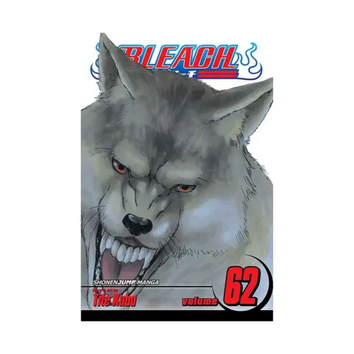 Bleach (Manga) Volume 62