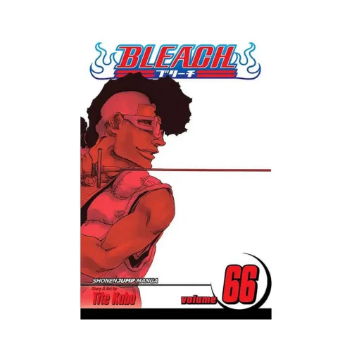 Bleach (Manga) Volume 66