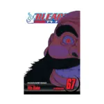 Bleach (Manga) Volume 67