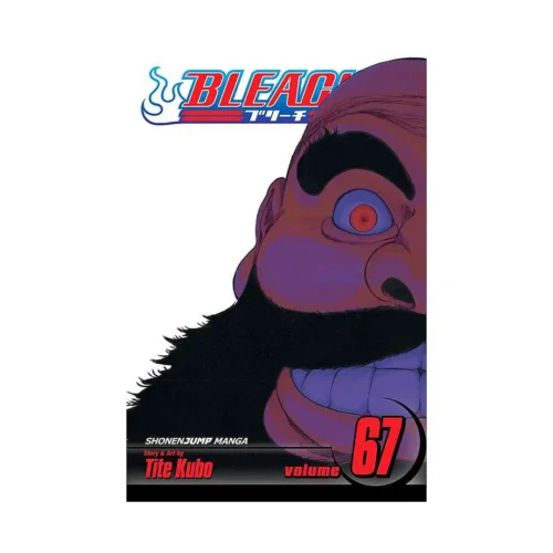 Bleach (Manga) Volume 67