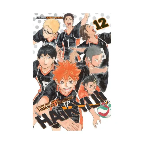 Haikyu!! (Manga) Volume 12