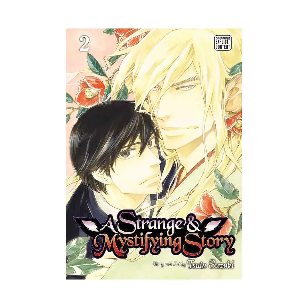 A Strange & Mystifying Story (Manga) Volume 02