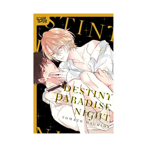 Destiny Paradise Night (Manga)