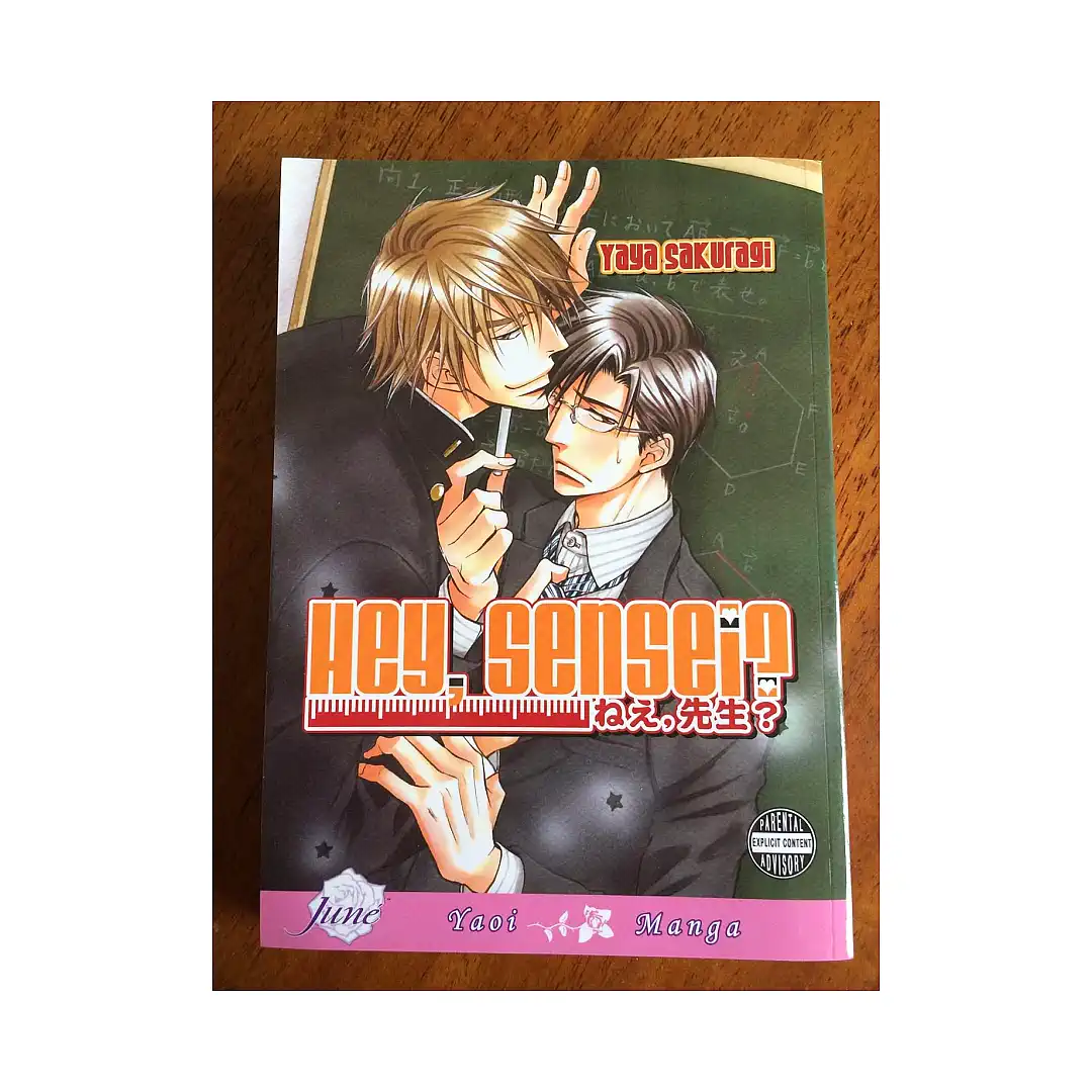 Hey, Sensei (Manga)