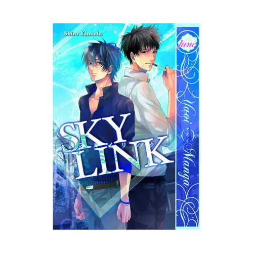 Sky Link (Manga)