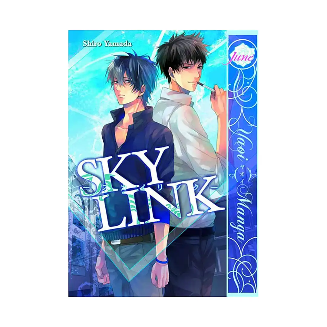 Sky Link (Manga)