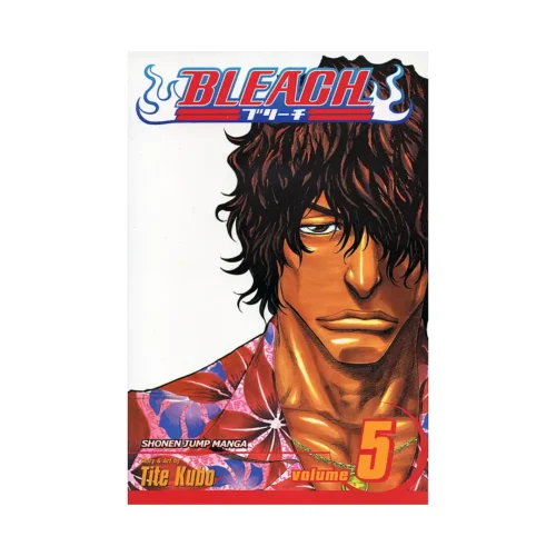 Bleach (Manga) Volume 05