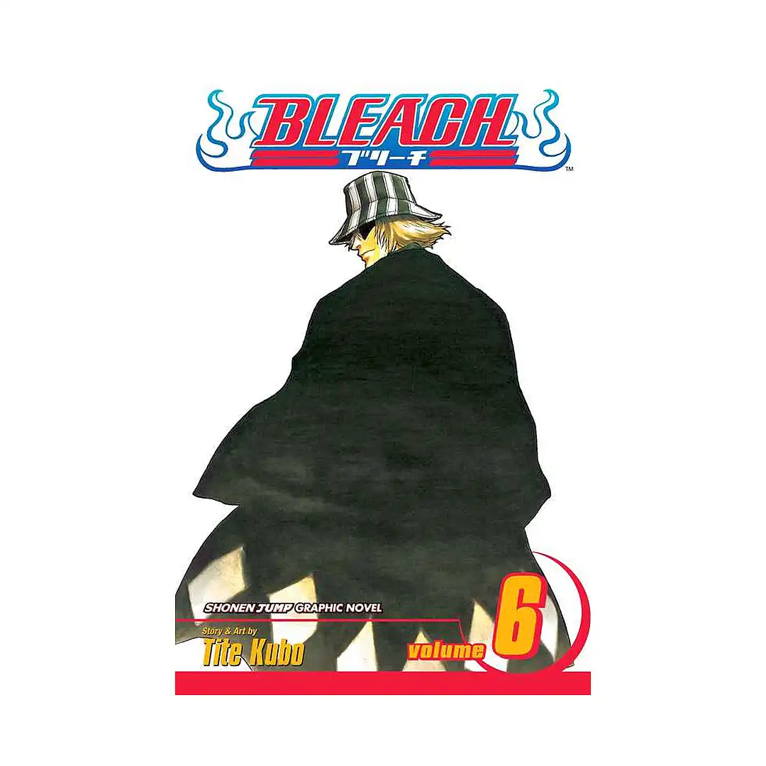 Bleach (Manga) Volume 06