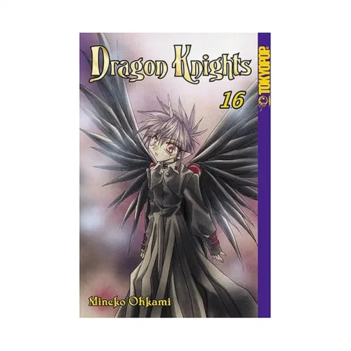 Dragon Knights (Manga) Volume 16