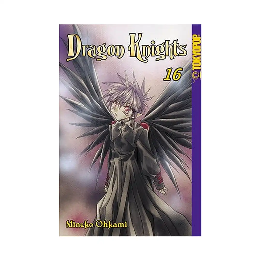 Dragon Knights (Manga) Volume 16