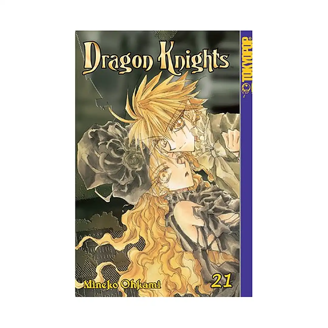 Dragon Knights (Manga) Volume 21