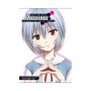 Neon Genesis Evangelion: The Shinji Ikari Raising Project (Manga) Volume 15