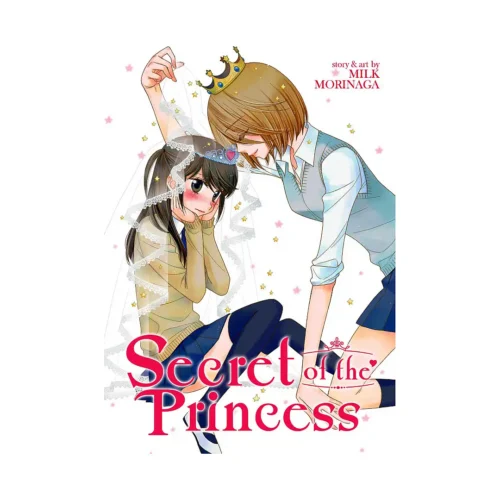 Secret of the Princess (Manga)