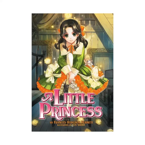 A Little Princess (Illustrated Novel)