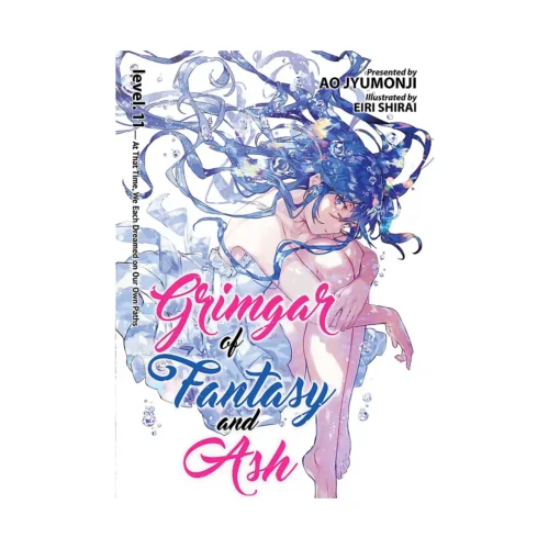 Grimgar of Fantasy and Ash (Light Novel) Volume 11