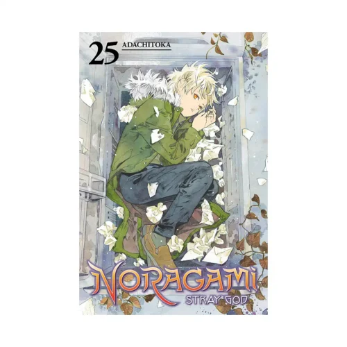 Noragami: Stray God (Manga) Volume 25