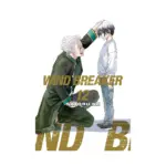 Wind Breaker (Manga) Volume 12
