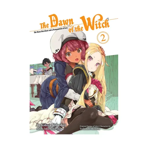 The Dawn of the Witch (Light Novel) Volume 02