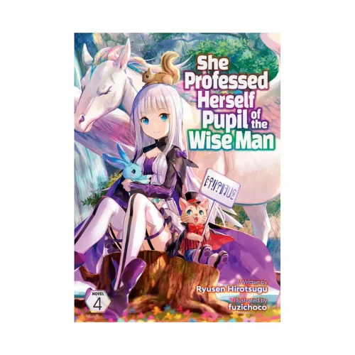 She Professed Herself Pupil of the Wise Man (Light Novel) Volume 04