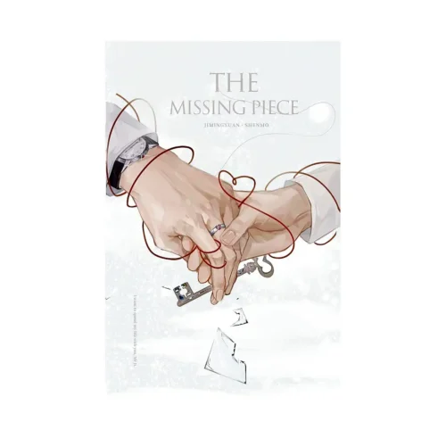 The Missing Piece (Novel)
