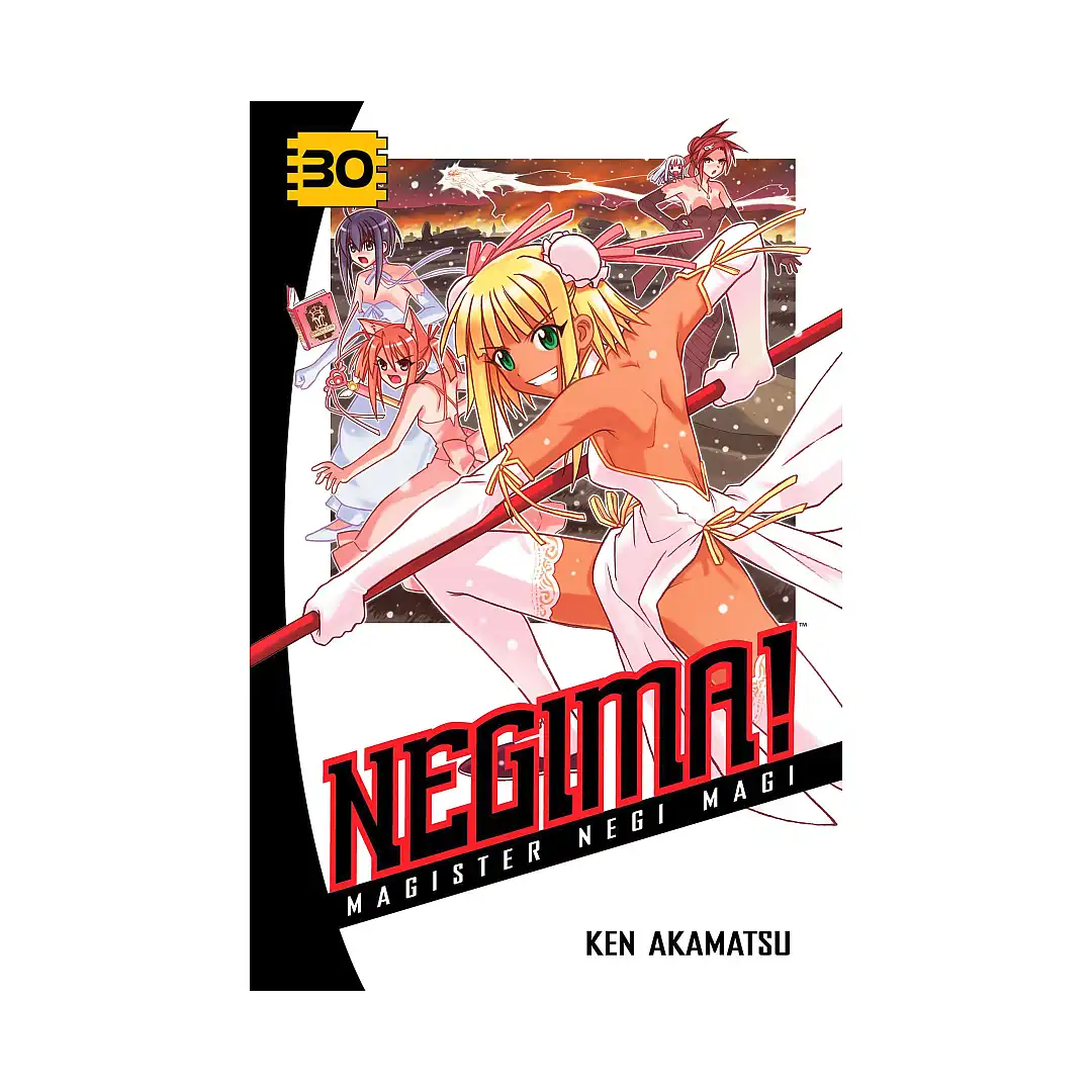 Negima!: Magister Negi Magi (Manga) Volume 30