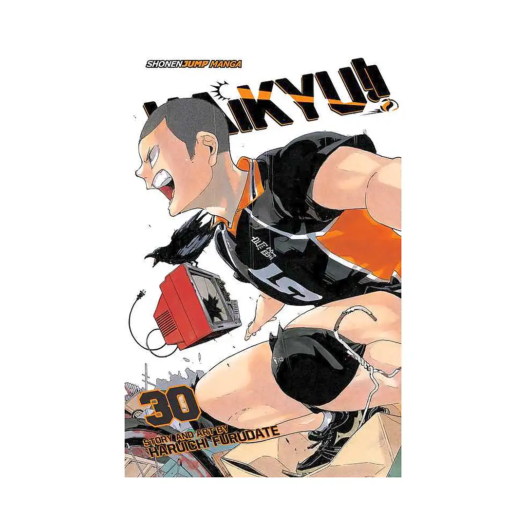 Haikyu!! (Manga) Volume 30