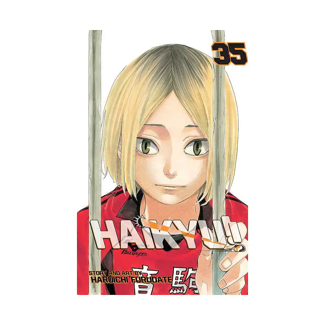 Haikyu!! (Manga) Volume 35